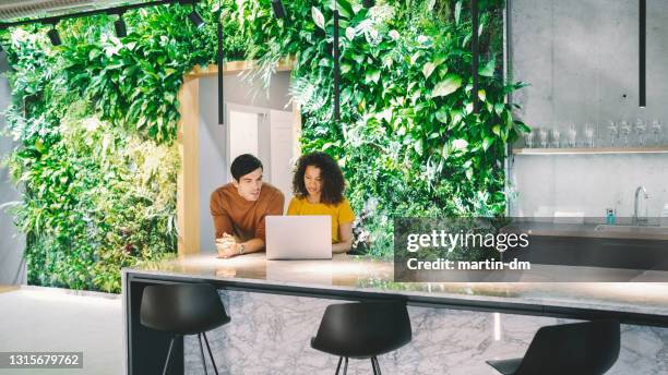 business people working in modern green office space - living_walls stock pictures, royalty-free photos & images