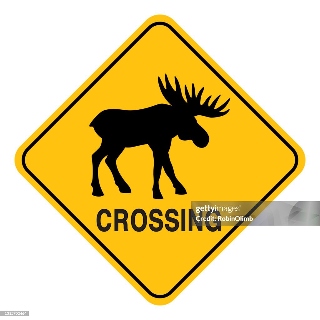 Moose Crossing Sign