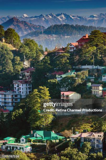 sunrise over shimla hills with snowcapped peaks, himachal pradesh, india - shimla stock pictures, royalty-free photos & images