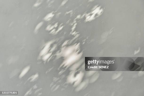 shadow of tree on wall - schatten im mittelpunkt stock-fotos und bilder