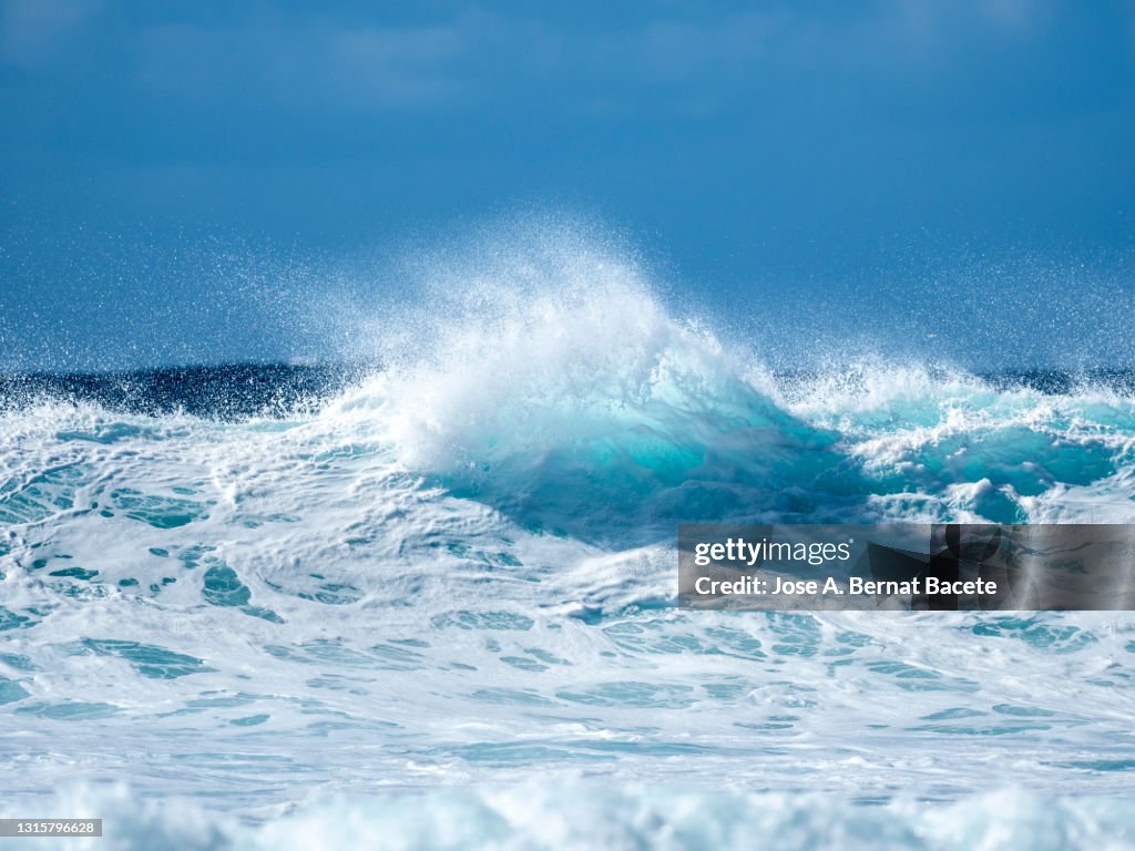 Full frame of the crest of a wave of sea with white foam a day of strong gusts of wind.