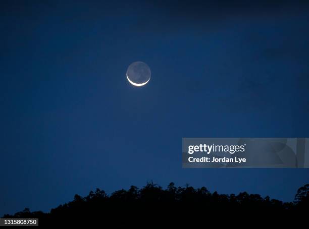 moon crescent above forest trees - ramadan moon photos et images de collection