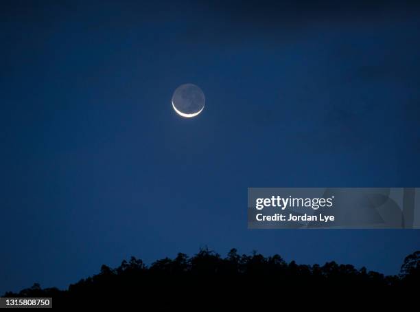 moon crescent above forest trees - crescent foto e immagini stock