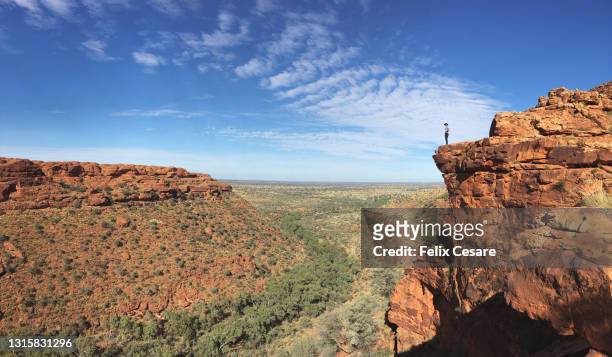 tiny man standing at the edge while exploring the kings canyon - ayers rock stock-fotos und bilder
