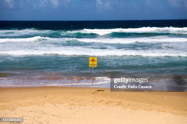 dangerous current warning sign on an empty sandy beach - coogee beach imagens e fotografias de stock