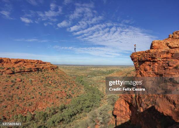 tiny man standing at the edge and exploring the kings canyon - kings canyon fotografías e imágenes de stock