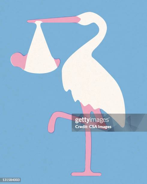 ilustraciones, imágenes clip art, dibujos animados e iconos de stock de stork with baby - newborn animal