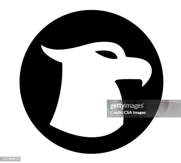 hawk silhouette - hawk silhouette stock illustrations