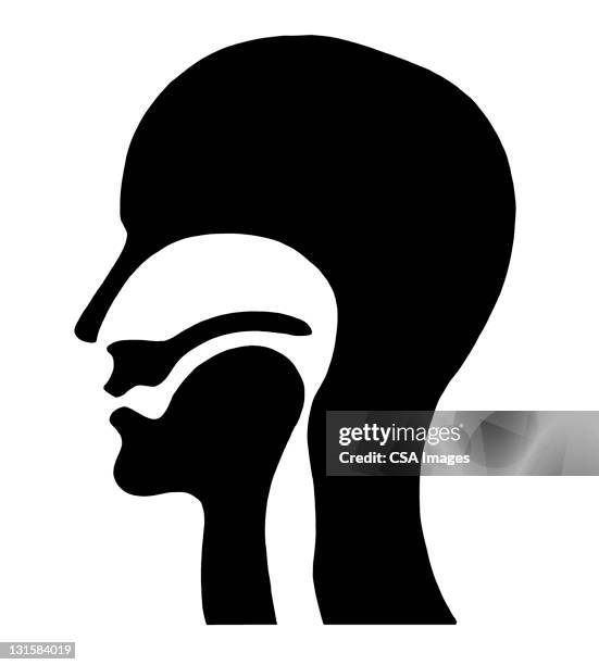 silhouette of man and esopagus - oesophagus stock illustrations