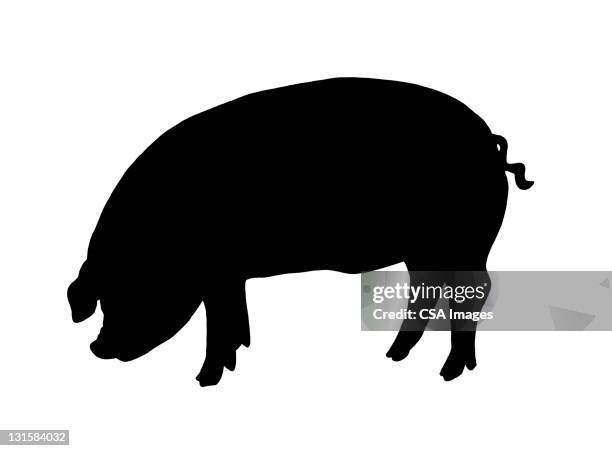 ilustrações, clipart, desenhos animados e ícones de pig - carne de porco