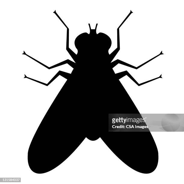 ilustraciones, imágenes clip art, dibujos animados e iconos de stock de fly silhouette - insect
