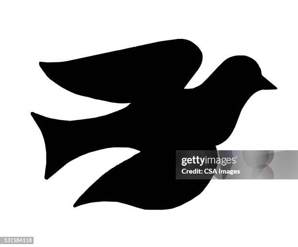 ilustraciones, imágenes clip art, dibujos animados e iconos de stock de dove - paloma ave