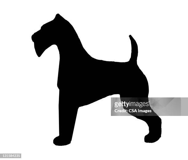 silhouette of schnauzer dog - best in show stock illustrations
