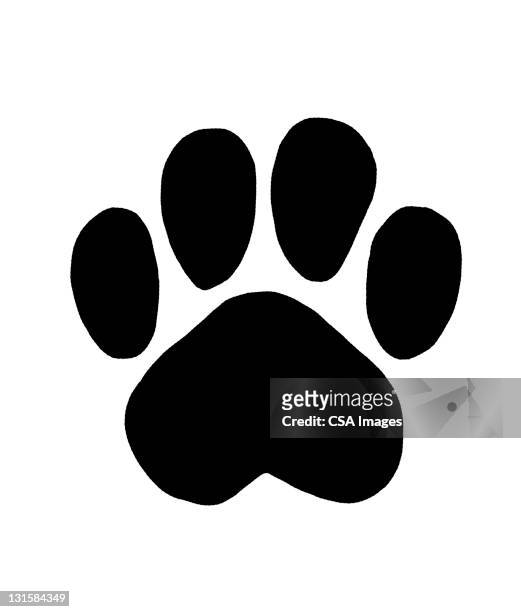 paw print - canine stock-grafiken, -clipart, -cartoons und -symbole