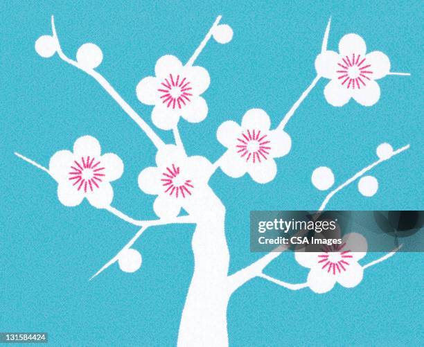 ilustraciones, imágenes clip art, dibujos animados e iconos de stock de cherry blossoms on tree - cherry tree