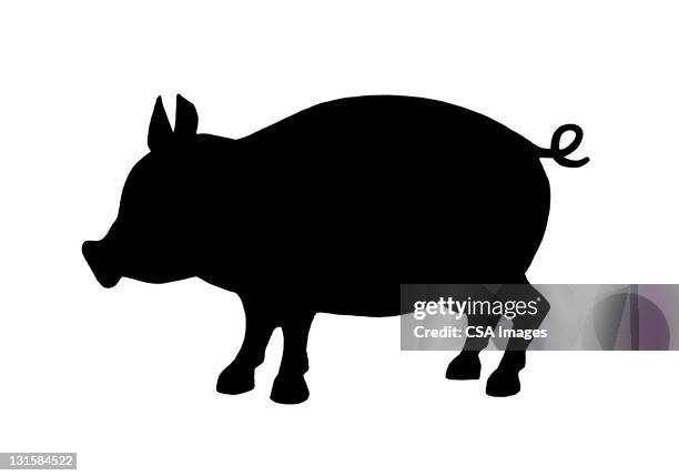 pig - ferkel stock-grafiken, -clipart, -cartoons und -symbole