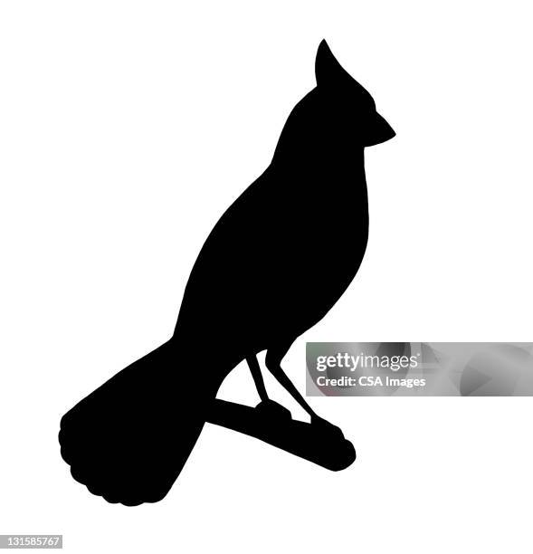 bird on branch - birds silhouette stock illustrations