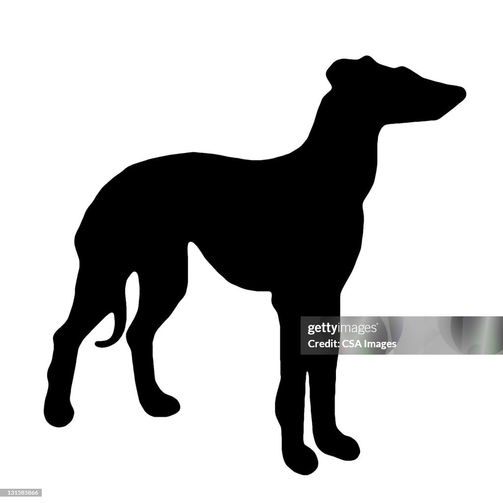 Deerhound/Greyhound Silhouette