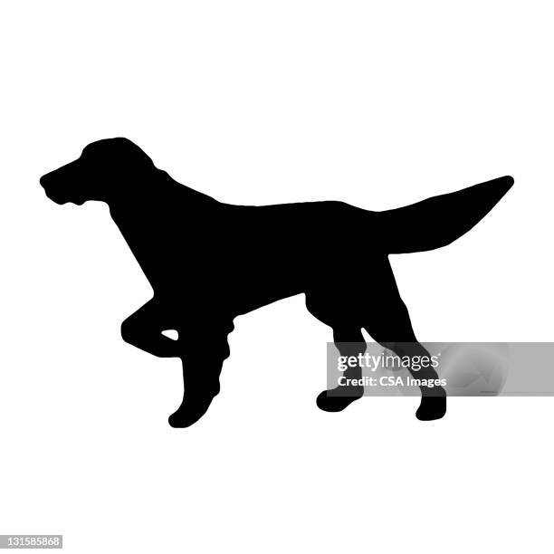 pointer dog silhouette - pointer stock illustrations