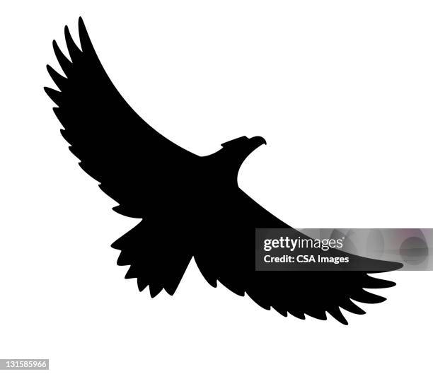 silhouette of flying bird - adler stock-grafiken, -clipart, -cartoons und -symbole