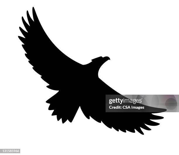 silhouette of flying bird - eagle flying stock illustrations