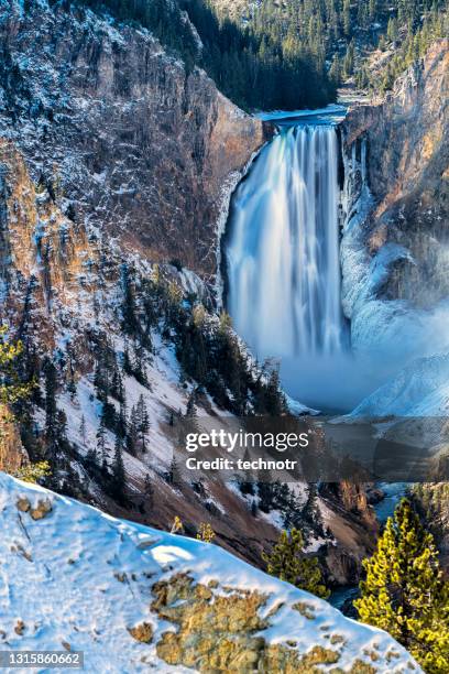 caídas inferiores de yellowstone, wyoming, ee.uu. - cataratas lower falls fotografías e imágenes de stock