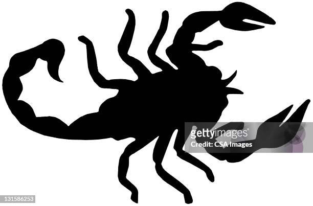 stockillustraties, clipart, cartoons en iconen met scorpion - scorpions