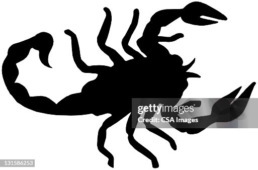 Scorpion Scorpion