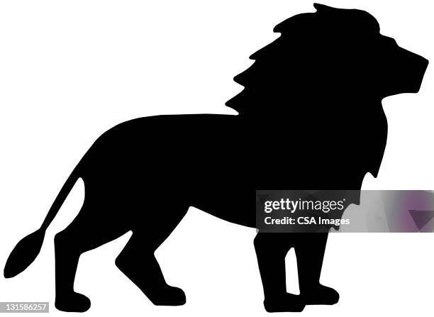 lion silhouette - lion black and white stock illustrations