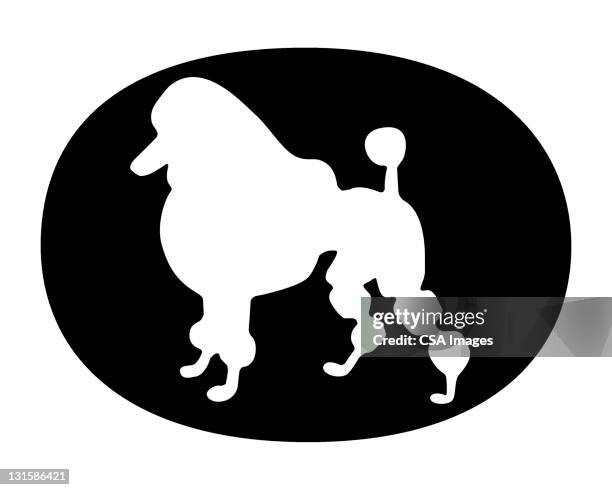 poodle - pudel stock-grafiken, -clipart, -cartoons und -symbole