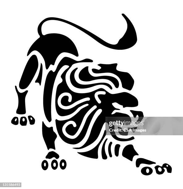 lion - lions mane stock illustrations