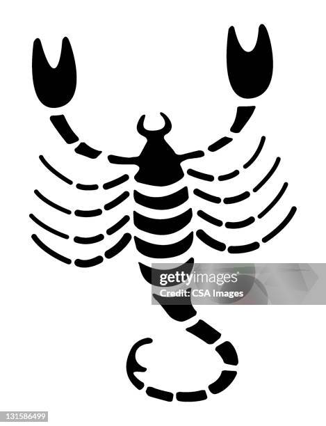 scorpion - scorpio stock illustrations