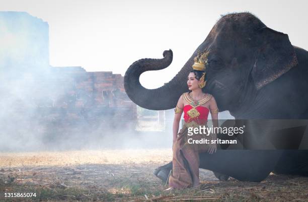 portrait of asian beautiful woman with traditional thai dress and accessories sit on leg of elephant and she look comfortable and relax - muzzle human stock pictures, royalty-free photos & images
