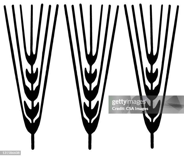 stalks of grain - wheat stock illustrations