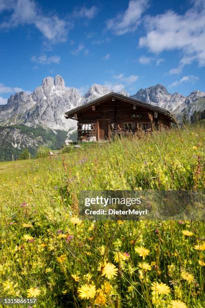 traditional alpine hut - austria stock pictures, royalty-free photos & images