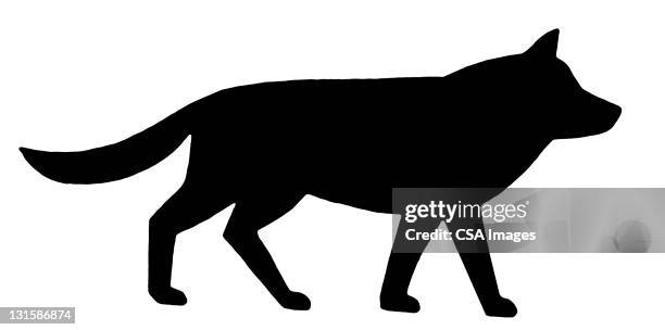 210点の狼 横顔のストックフォト Getty Images 210点の狼 横顔のストックフォト Getty Images