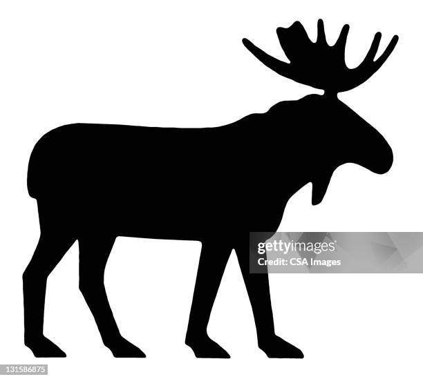 moose - horned stock illustrations