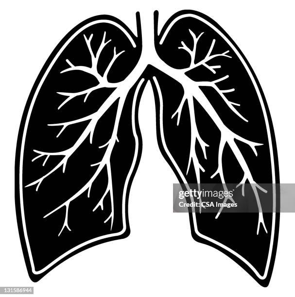 lungs - bronchien stock-grafiken, -clipart, -cartoons und -symbole