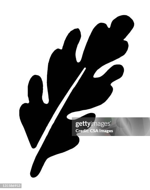 leaf - leaf logo stock illustrations