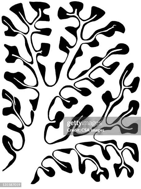 Root Pattern Watermark 3,545 Tree Roots Pattern Stock Photos, High-Res Pictures, and Images ...