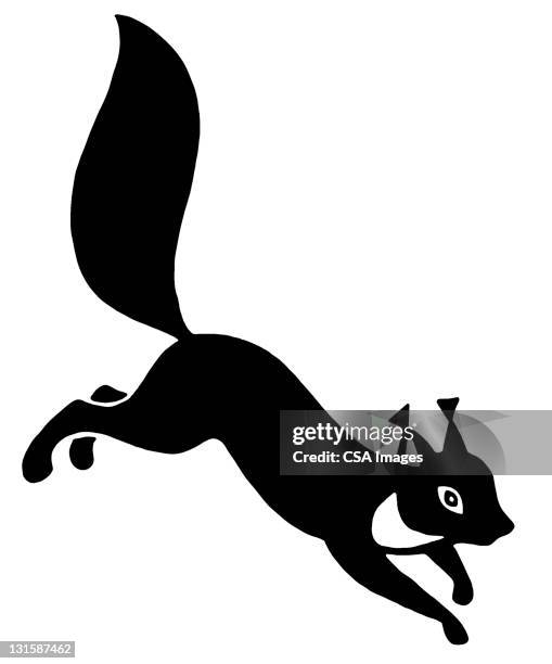 squirrel - squirrel stock illustrations
