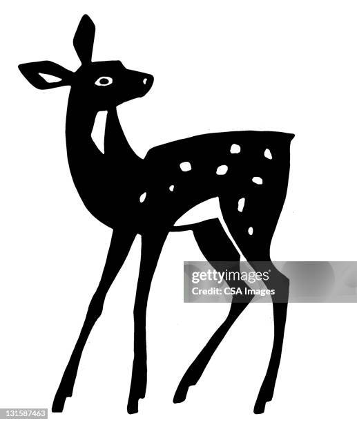 deer - baby deer stock illustrations