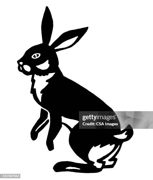 rabbit - black and white rabbit stock illustrations