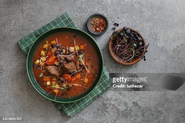 beef-cheek minestrone - serving dish imagens e fotografias de stock