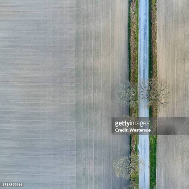single lane road through landscape - spring denmark stock pictures, royalty-free photos & images