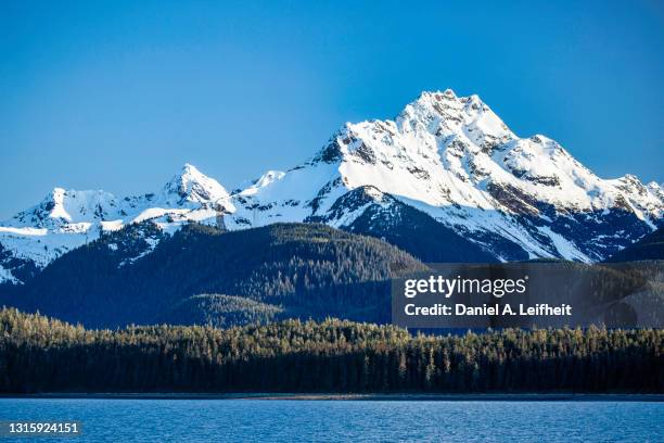 snow-capped mountain landscape in southeast alaska - alaskische cultuur stockfoto's en -beelden