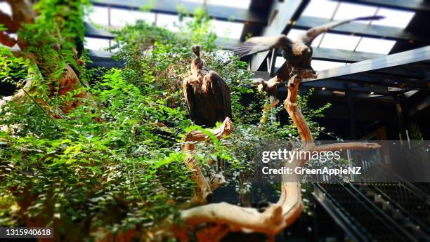 ecotarium