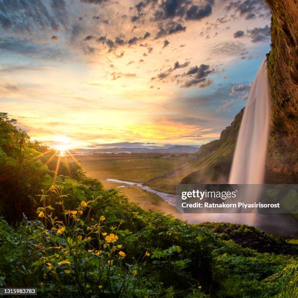 seljalandsfoss waterfall during the sunset, beautiful waterfall in iceland. - セリャランスフォス ストックフォトと画像