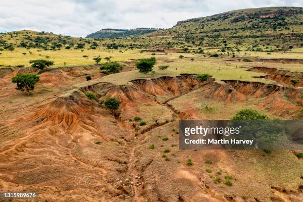 217 Overgrazing Photos and Premium High Res Pictures - Getty Images