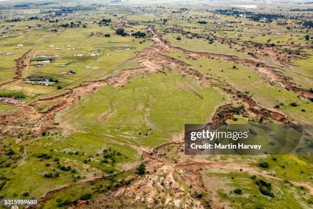 Overgraze Overgrazing Photos and Premium High Res Pictures - Getty Images